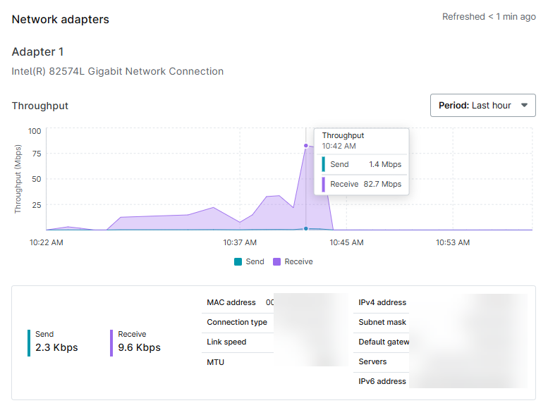 device details_network adapters.png